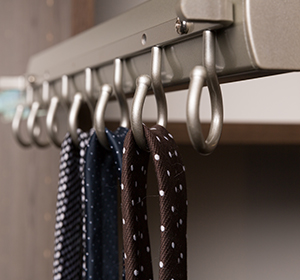 Beyond Storage Belt Racks Tie Racks in St. Louis Custom Closet Company in St. Louis